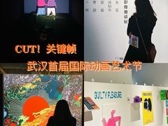 -武汉光谷K11