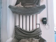 -青春加萌照相馆