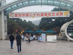 -南山植物园