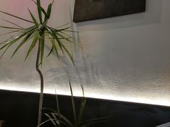 -希屿·Xislands融合餐厅