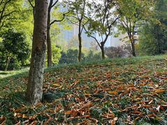 -老娘舅(西湖文化广场店)