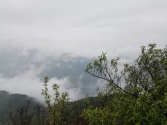 -江西阳明山国家森林公园