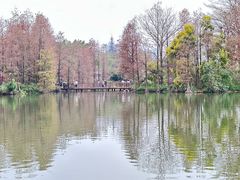 -海珠湖公园