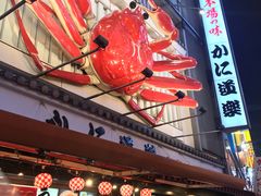 -蟹道乐(道顿堀本店)