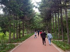 -长春市南湖公园