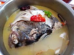 家常鱼头（微辣）-魏铭鱼头捞饭(晋阳路店)