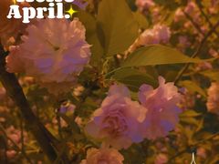 -滨湖塘西河公园