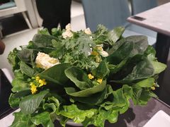 -百年果林椰子鸡(益田假日里店)