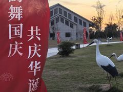 -盐城丹顶鹤湿地生态旅游区