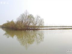 -大湾区中央湿地公园