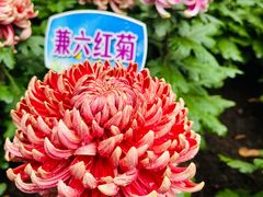 -汇龙潭