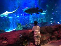 -沈阳海洋探索中心