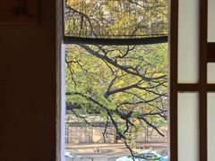 -青藤茶馆(凤起路店)