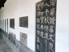 -云龙山