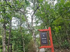 -增城大丰门漂流