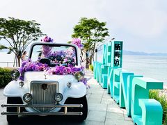-杨梅坑