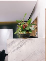 点击看大图 -Garden花園造型