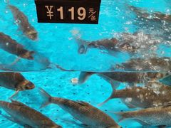 -艳阳天·非遗楚菜(武汉客厅店)