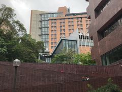 -香港大学