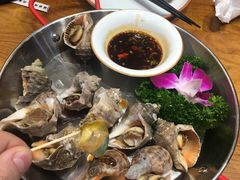 -必点海鲜·鲅鱼水饺(鞍山西道店)