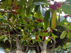 -河海大学(常州校区)