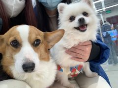 -怪兽屋·羊驼·猫咖·狗咖(俊华广场店)