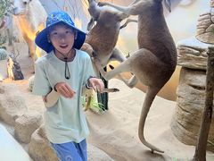 -西霞口神雕山野生动物世界