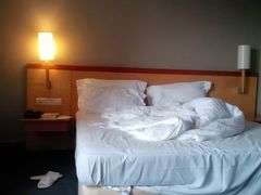 android_upload_pic-新加坡富丽华河畔大酒店(SG Clean)