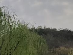 -南翠屏公园