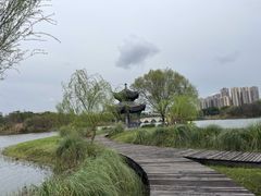 -眉山湿地公园(东坡区)