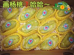 -Z家吃货联盟(南三院店)