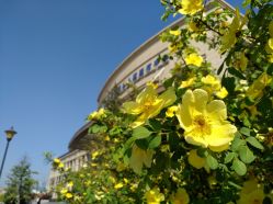 -大连市妇女儿童医疗中心