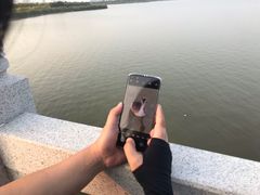 -天津东丽湖风景区