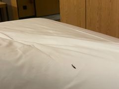 -优逸酒店(柳州窑埠古镇万象城店)