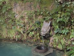 -十八棵（老龙井）御茶园(老龙井店)