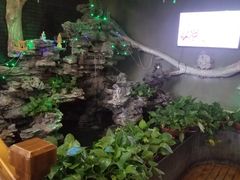 -小玉米(锡林南路店)