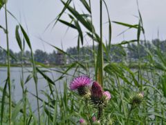 -白渔泡湿地公园