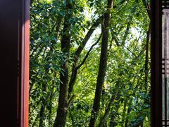 -宁波市保国寺古建筑博物馆