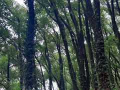 -喻家山