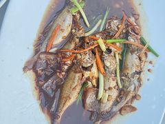 -魚當家