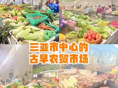 -金鸡岭农贸市场