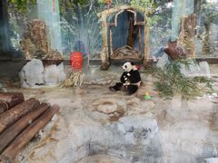 -海南热带野生动植物园