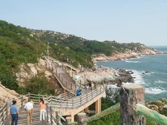 -广东惠东海龟国家级自然保护区