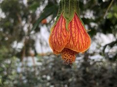 -九善农植有机生活农场
