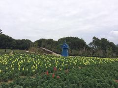 -广州市流溪河国家森林公园