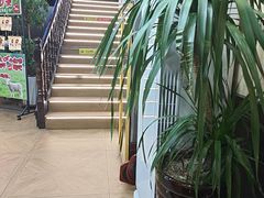 -清真·舒迩布炕锅王·高原美食文化(青海总店)