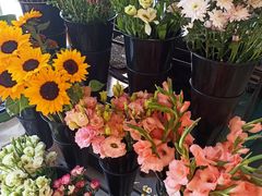 -之悦咖啡馆(新星宇·之洲店)