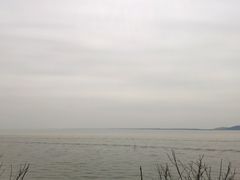 -巢湖姥山岛