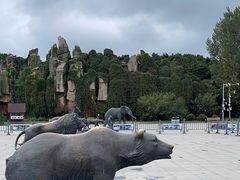 -沈阳森林动物园