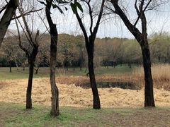 -蜀冈西峰生态公园